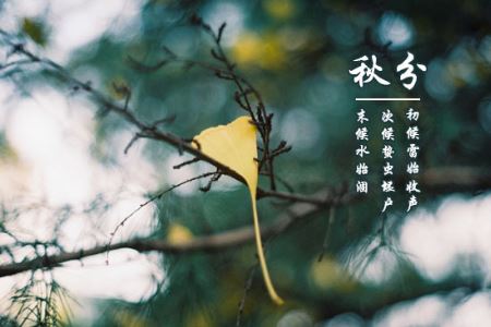 秋分时节养生做好三件事对身体好